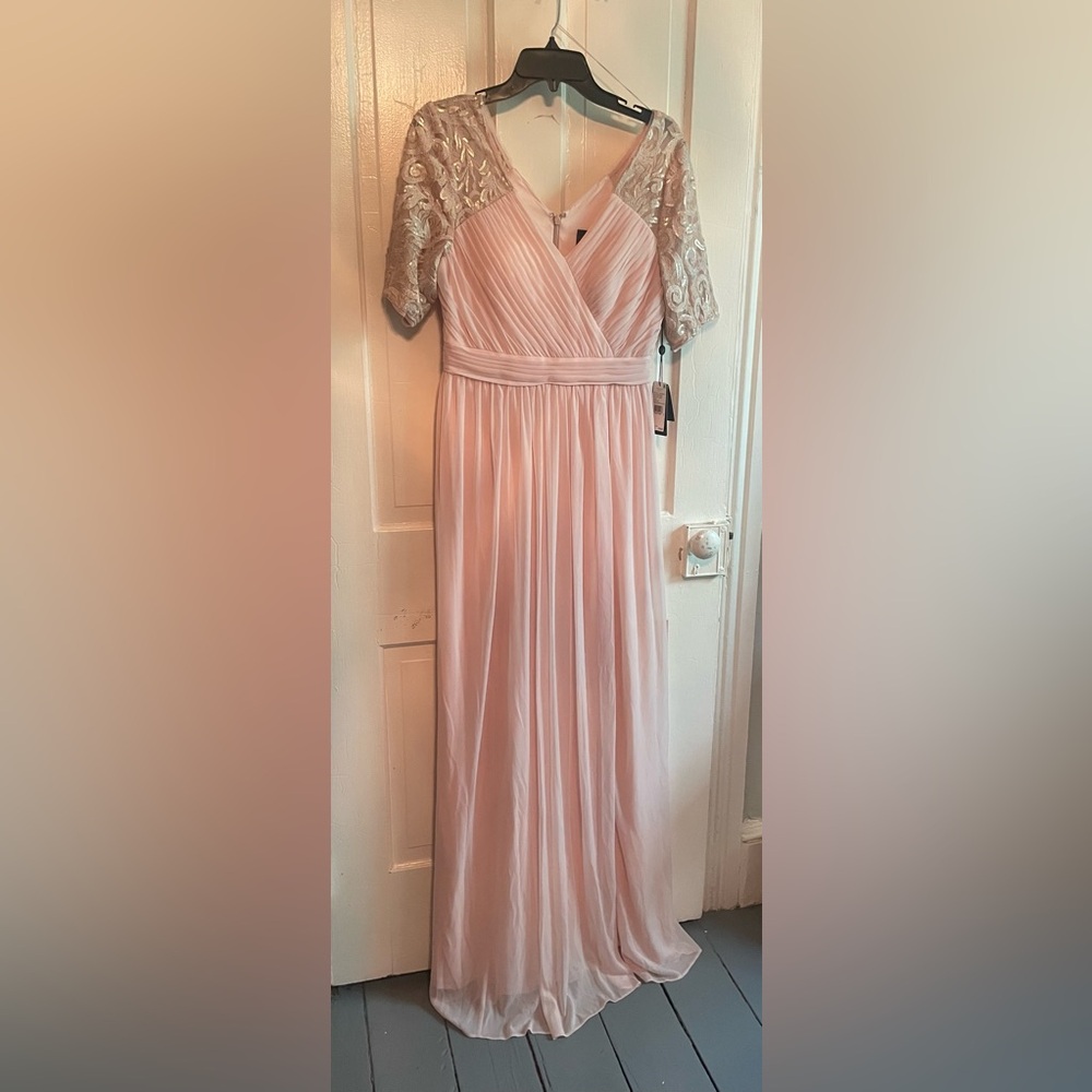 Blush floor length Adrianna Papell gown
